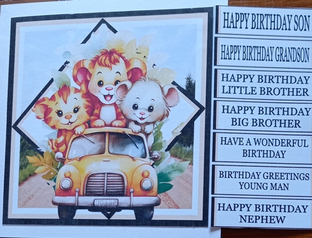 HAPPY BIRTHDAY SON by Carolynne Barratt