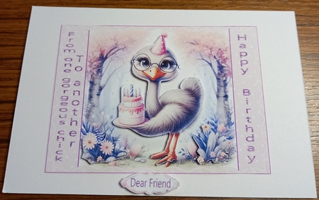 TO A GORGEOUS CHICK by Carolynne Barratt