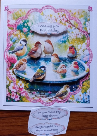 BIRDS IN THE FRAME 1 by Carolynne Barratt