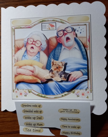 JUST 40 WINKS by Carolynne Barratt