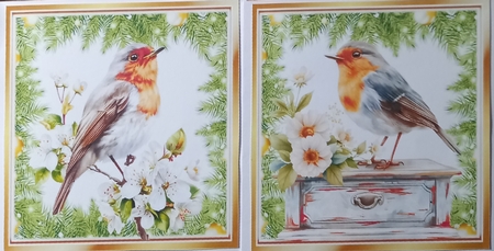 Two Lovely Robins, Toppers With Ferns & Flowers (TWO) by Carolynne Barratt