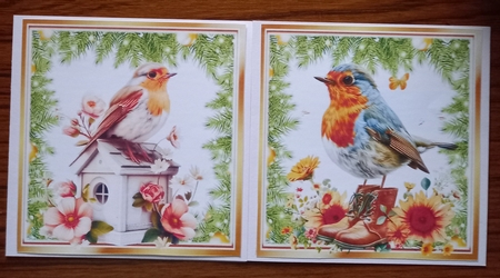 Two Lovely Robins, Toppers With Ferns & Flowers (THREE) by Carolynne Barratt
