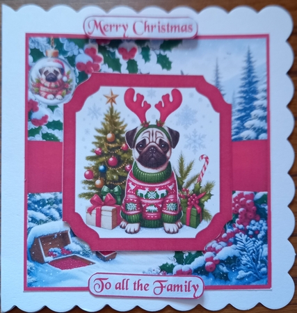Festive Pugs by Carolynne Barratt