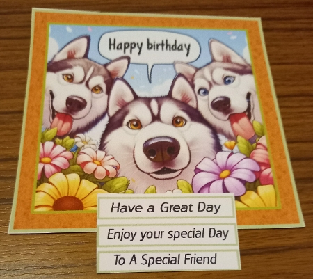 just  huskies by Carolynne Barratt