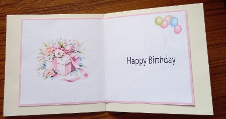 INSERT 6 FEMALE PINK GIFTS 1 by Carolynne Barratt