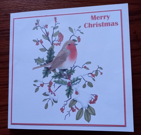Christmas Robin on Branch Topper 2 by Carolynne Barratt