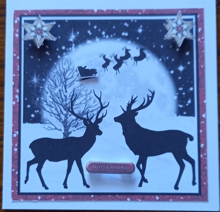 Santas gone without us by Carolynne Barratt