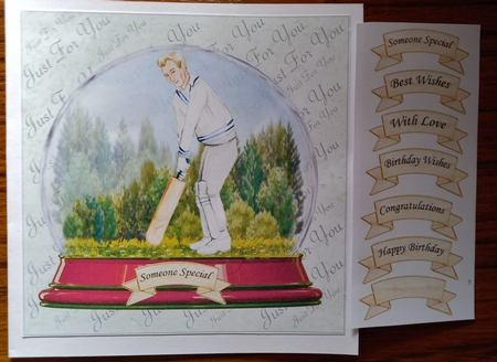 CRICKET GLOBE UNIVERSAL SHEET by Carolynne Barratt