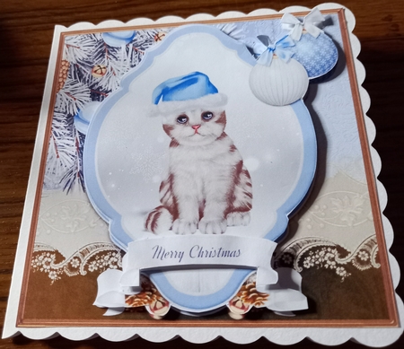Christmas Cat by Carolynne Barratt