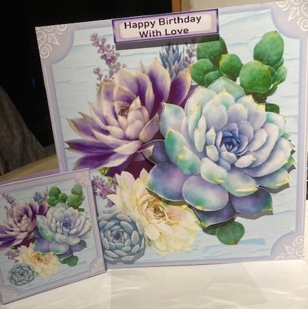 Pretty Pastel Purples Succulents 8x8 by Catheirne Langford