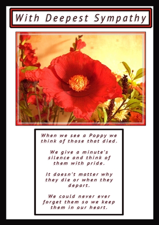 Poppy Thoughts by Catherine Casey