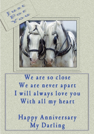 Horse Love by Catherine Casey