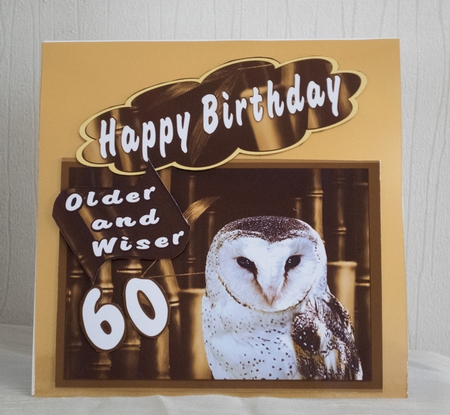 Owl Bamboo by Catherine Casey