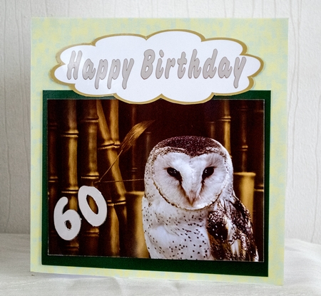 Owl Bamboo by Catherine Casey
