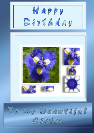 Blue iris by Catherine Casey