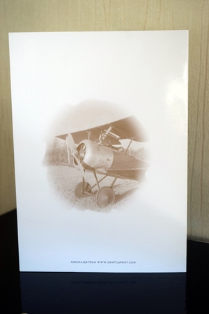 Just Flying In by Catherine Casey