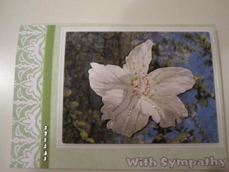 White Flower & Lace Sympathy Card by Catherine Lucy Lines