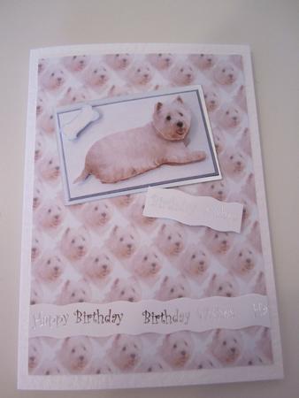Westie Laying Down 3D Decoupage with Background by Catherine Lucy Lines