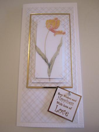 Pretty Yellow and Pink Floral Dl Card Kit by Catherine Lucy Lines