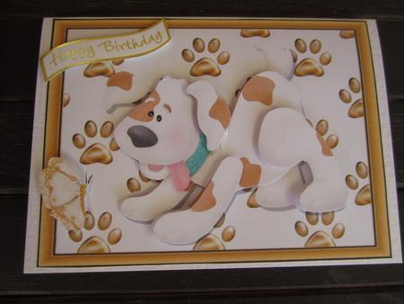 Cute White & Brown Dog in Wood Frame by Catherine Lucy Lines