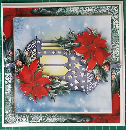 The Poinsettia Lantern - red by Catherine Noon