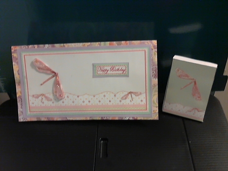 JJ PINK N GREEN DRAGONFLY PROJECT KIT by Cathy Spencer