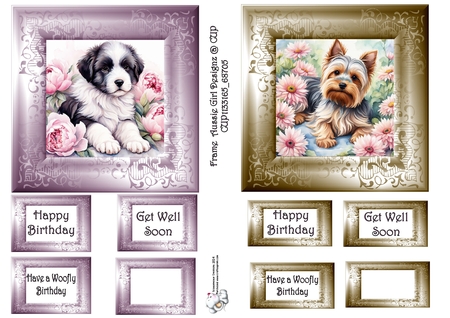Cherry Blossom Frames 5 by Celia Clare