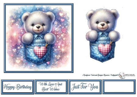 Pocket Teddy  by Celia Clare