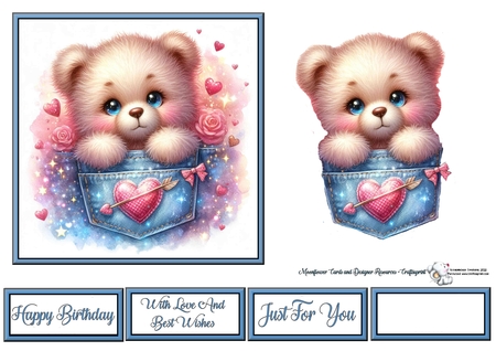 Pocket Teddy  by Celia Clare