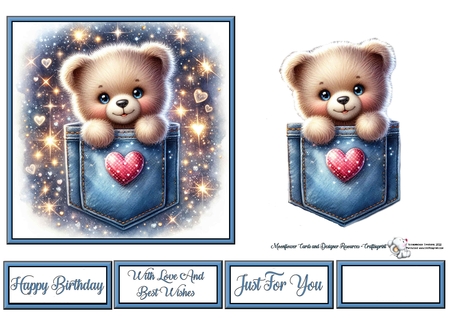Pocket Teddy  by Celia Clare