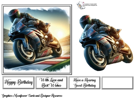 Motorbike Racers by Celia Clare