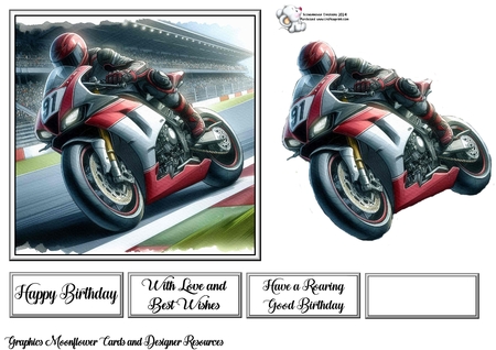 Motorbike Racers by Celia Clare