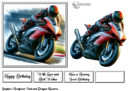 Motorbike Racers by Celia Clare