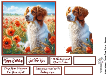 Beautiful Poppy Field Dogs 2 by Celia Clare