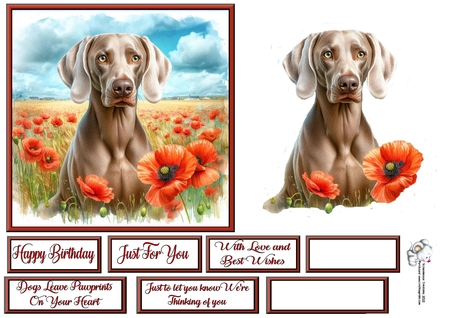 Beautiful Poppy Field Dogs 10 by Celia Clare