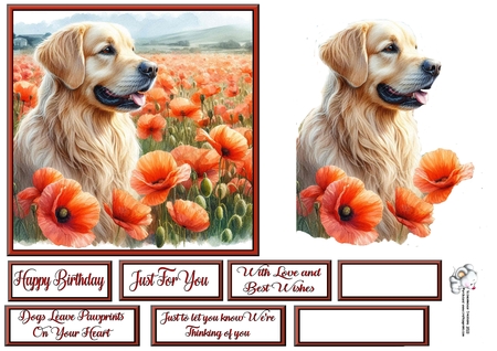 Beautiful Poppy Field Dogs 11 by Celia Clare