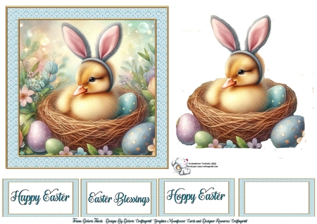 Bunnie Ear Duckie  by Celia Clare