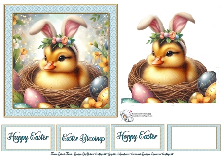 Bunnie Ear Duckie  by Celia Clare