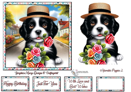 Adorable Puppies by Celia Clare
