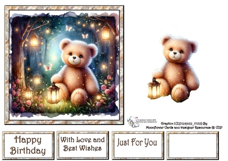 Firefly Bear by Celia Clare