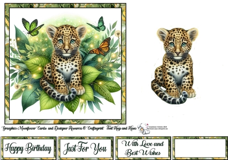 Baby Leppard  by Celia Clare