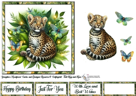 Baby Leppard  by Celia Clare