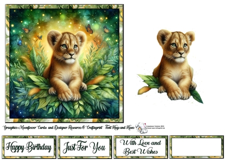 Lion Cub by Celia Clare