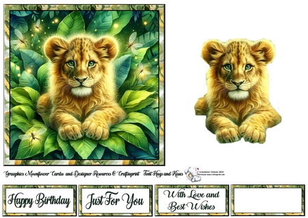 Lion Cub by Celia Clare