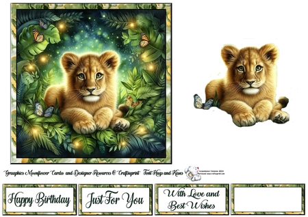 Lion Cub by Celia Clare