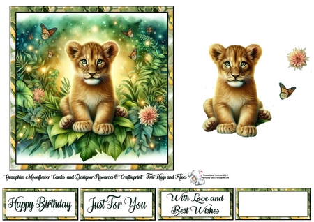 Lion Cub by Celia Clare