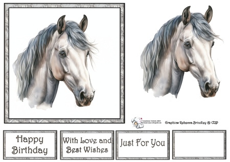 Light Grey Stunning Steeds Mix 1 by Celia Clare