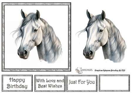 Light Grey Stunning Steeds Mix 1 by Celia Clare