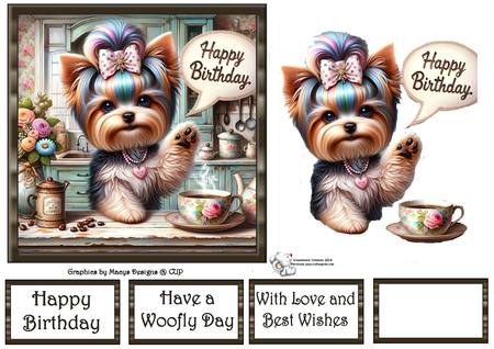 Birthday by Celia Clare