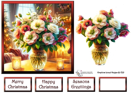 Christmas roses by Celia Clare